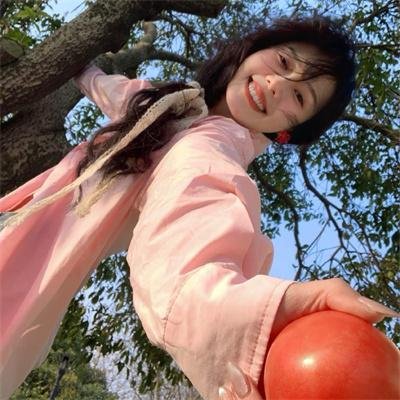 特洛伊艾迪